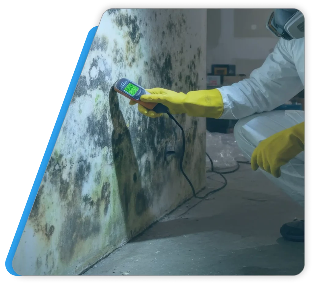 Professional mold inspector using a moisture testing device on a severely damaged wall.