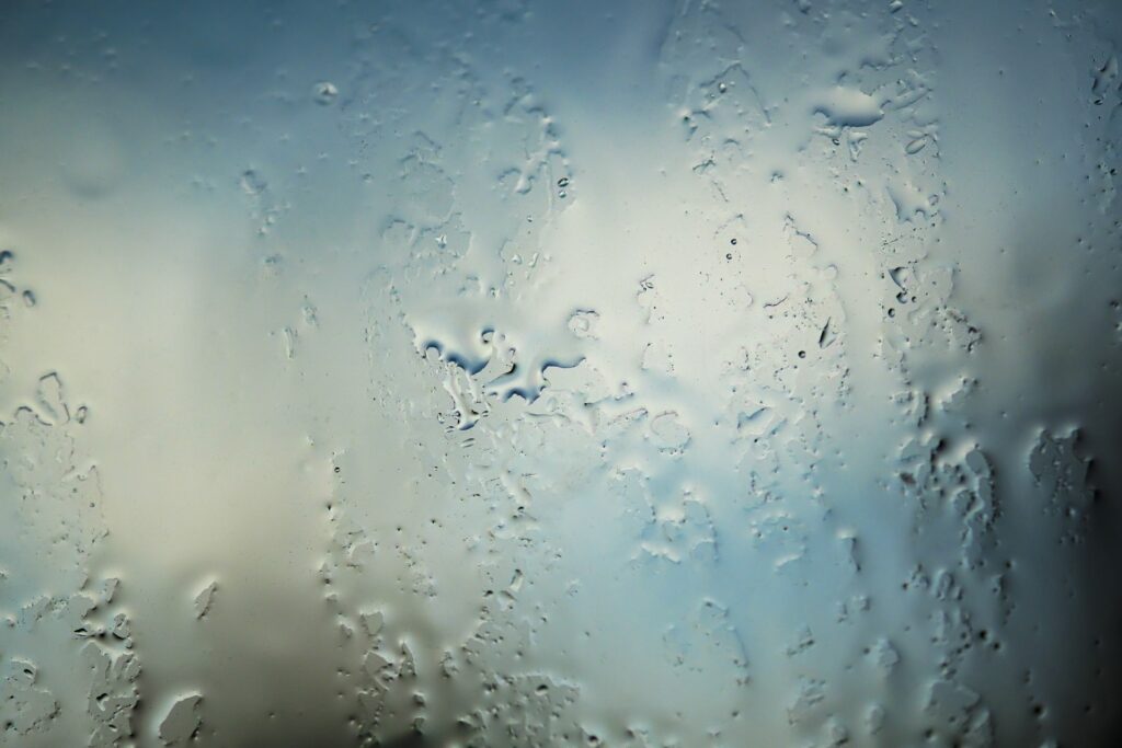 basement moisture