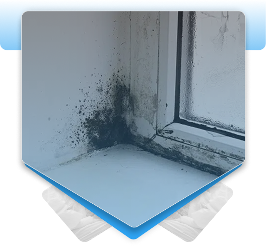Severe black mold growth spreading around a basement window frame due to excess moisture.