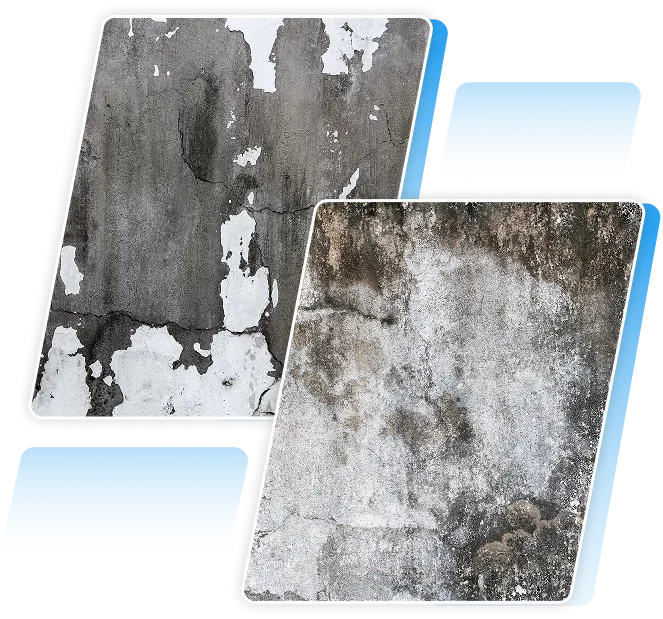 Severe black mold growth covering a concrete block basement wall indicating severe moisture issues.