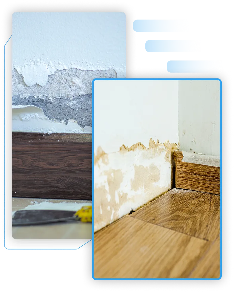 Close-up of brown water damage stains and mold growth on a white basement drywall.