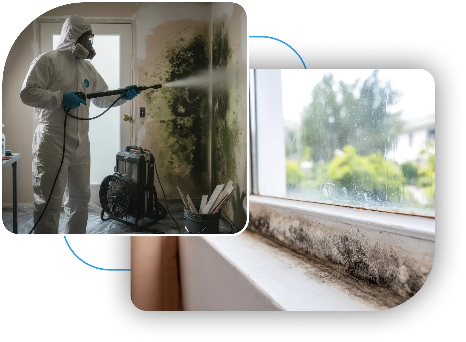 Professional mold removal and black mold on a window sill.