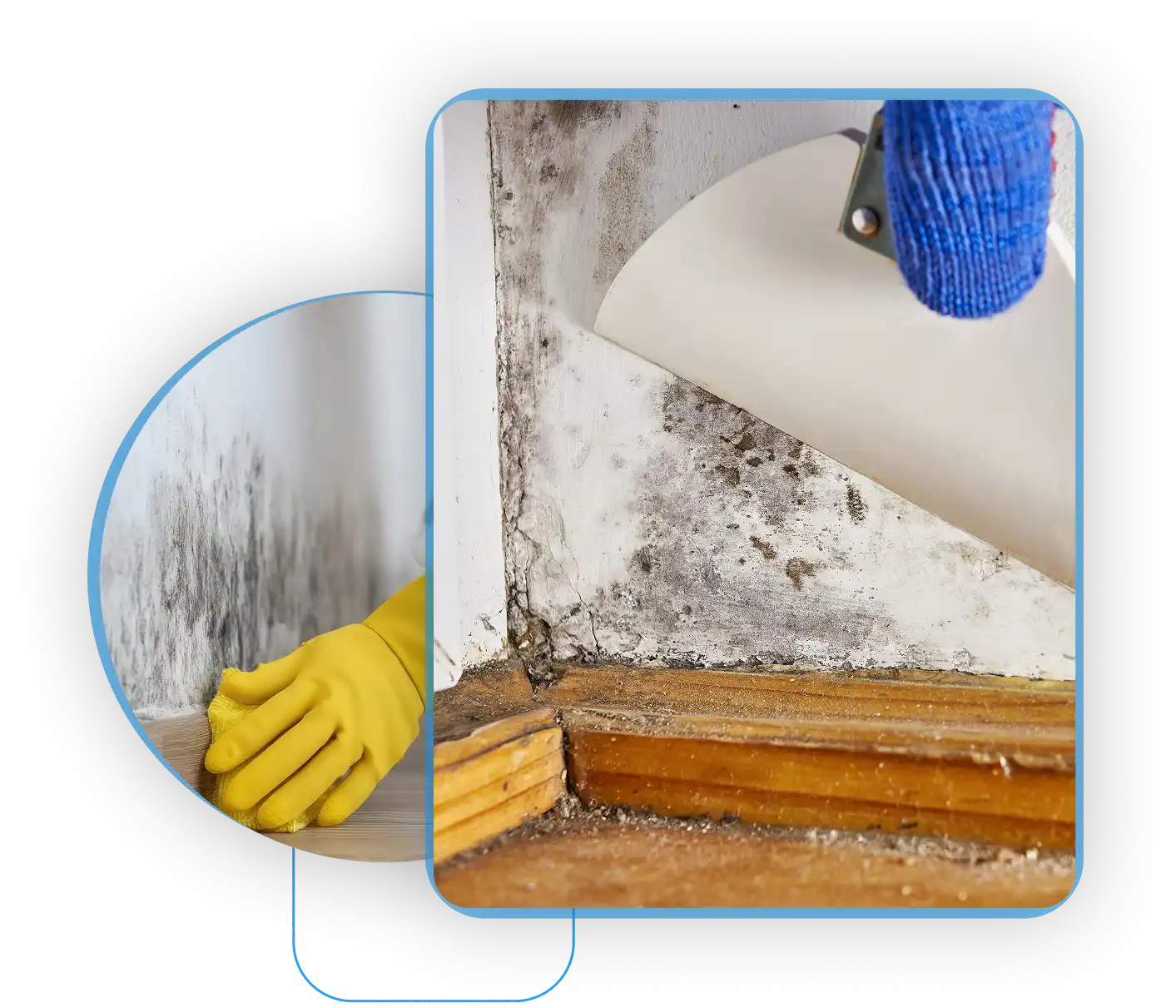 Scraping and wiping black mold off a damaged wall.