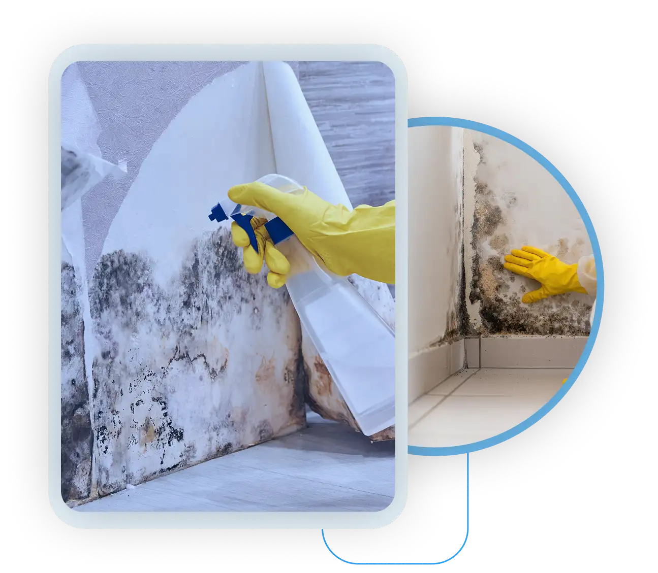 Treating severe hidden black mold behind peeling wallpaper.