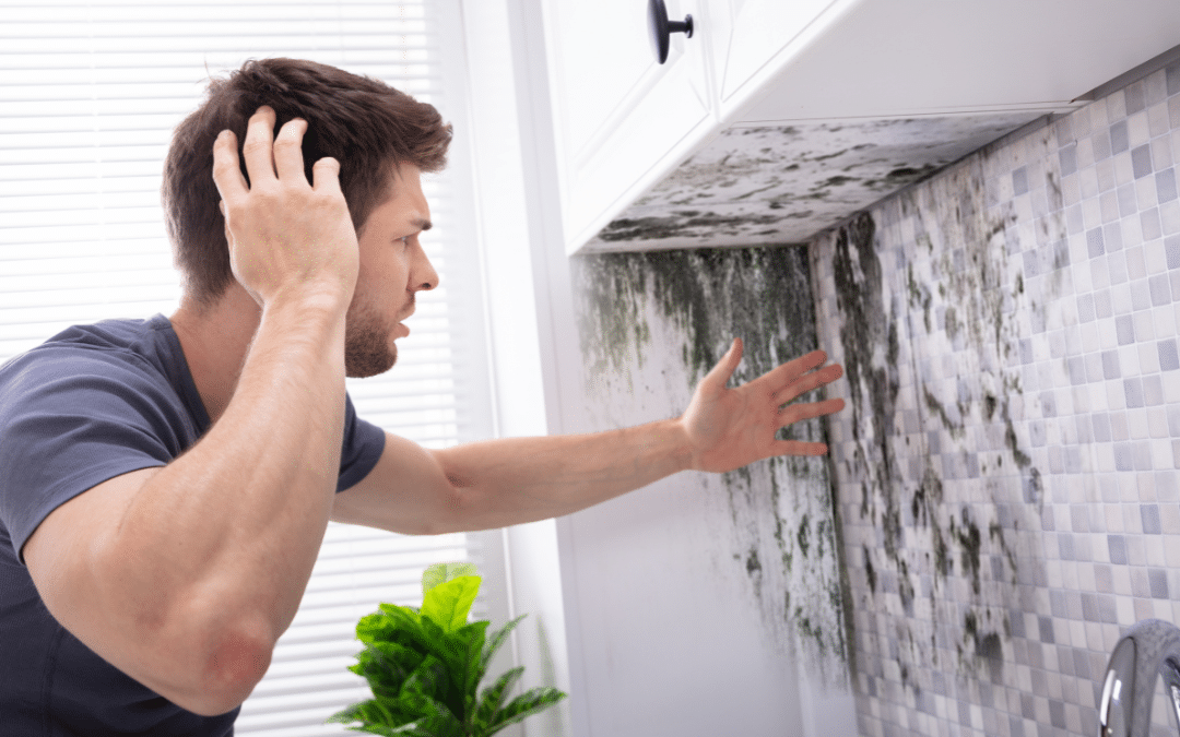 Signs You Need Mold Removal in Louisville, KY