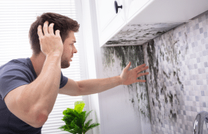 Mold on the kitchen sink