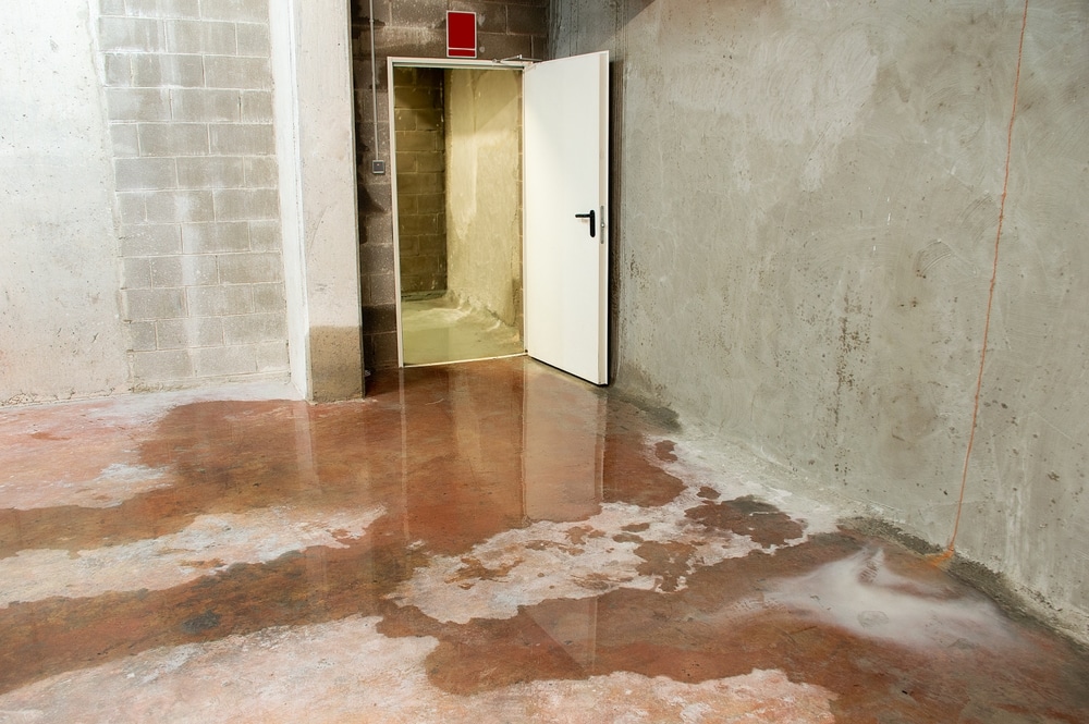 basement repair after water damage in Louisville, KY