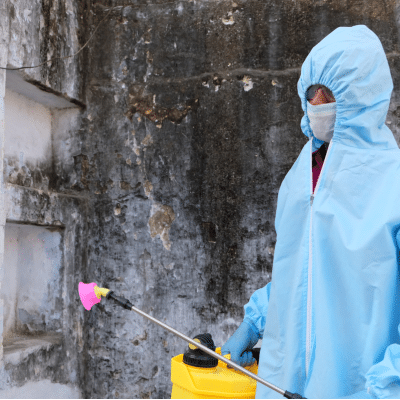 The Importance of Mold Removal on Walls in Louisville, KY