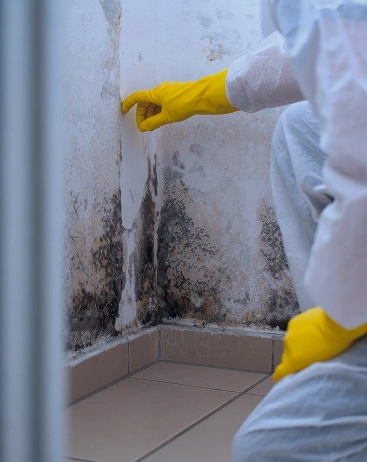 Mold remediation specialist inspecting severe black mold on a wall corner.
