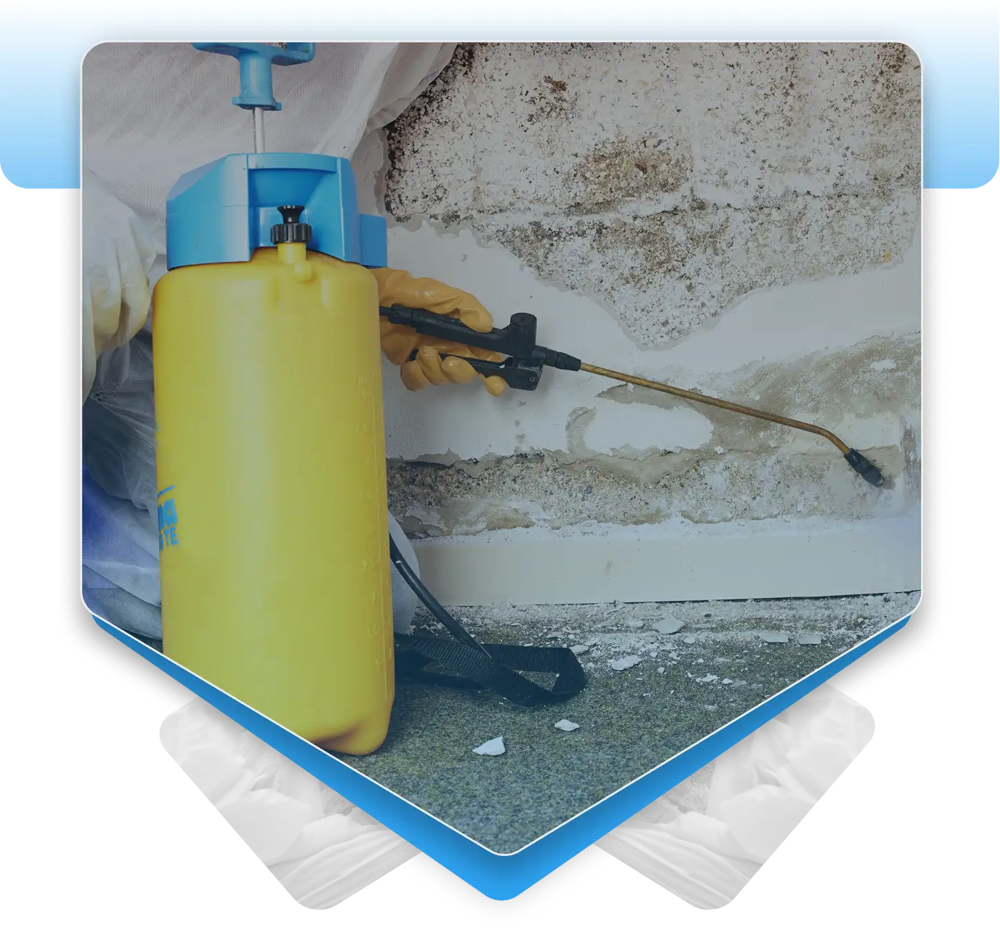 Worker spraying mold remediation chemicals on a peeling basement wall.