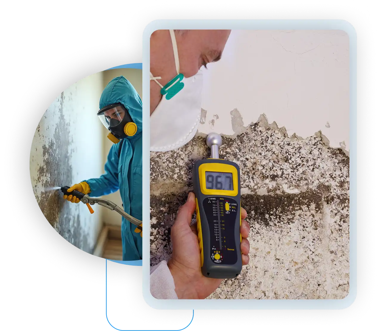 Moisture meter reading on a damaged wall and professional mold spraying.