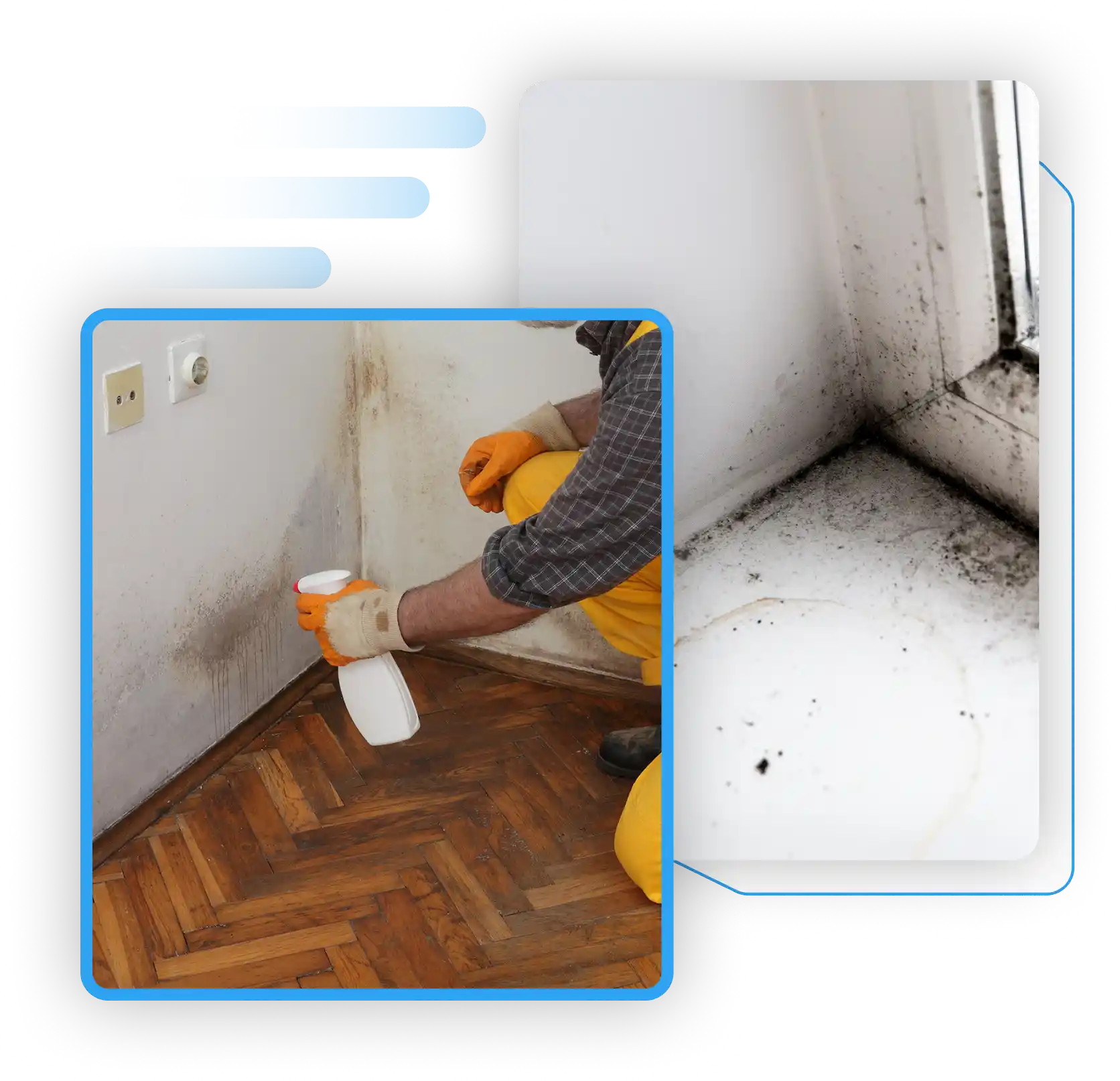 Worker treating wall water damage and window sill black mold.
